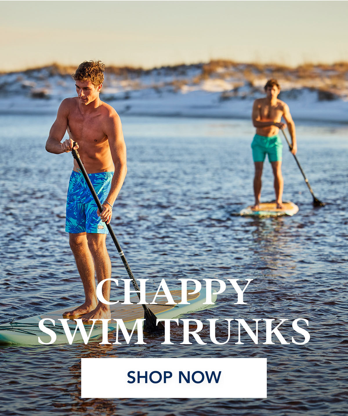 men’s chappy swim trunks
